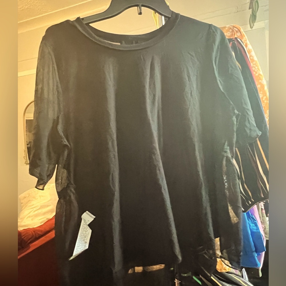Zara t-shirt sheer back top size L. Brand New